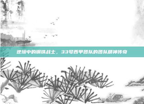 逆境中的钢铁战士，33号西甲团队的团队精神传奇