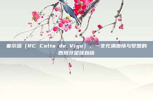 塞尔塔（RC Celta de Vigo），一支充满激情与梦想的西班牙足球劲旅