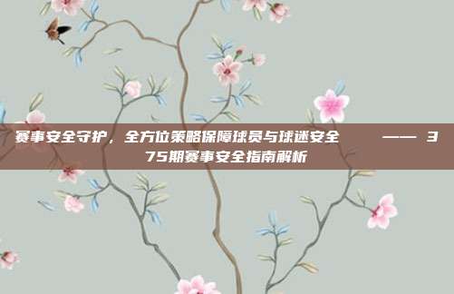 赛事安全守护，全方位策略保障球员与球迷安全🔒 —— 375期赛事安全指南解析