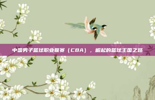 中国男子篮球职业联赛（CBA），崛起的篮球王国之路