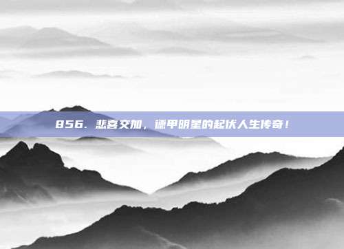 856. 悲喜交加，德甲明星的起伏人生传奇！